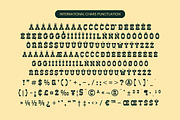 Ankara Trave Vintage Display Font, a Slab Serif Font by timelesstype.co (Thumbnail 14 of 15)