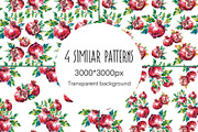 Watercolor Pomegranate, a Pattern Graphic by Volha (Thumbnail 2 of 5)