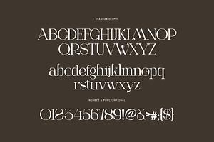 Rangita Elegant Ligature Serif Font