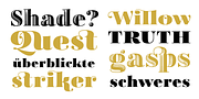 Tectónica, a Serif Font by Untype (Thumbnail 6 of 14)