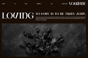 Gamon Unique Serif Font, a Serif Font by Perfectype (Thumbnail 3 of 8)