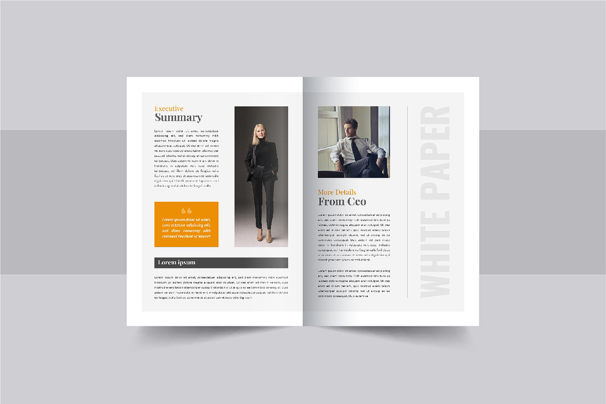Business white paper brochure design, a Brochure Template by Pavel_design (Photo 5 of 9)