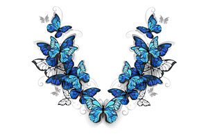 Symmetrical Pattern Of Butterflies