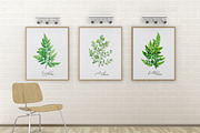 Ferns. Watercolor Botanical Clipart, an Object Graphic by JSolomatina (Thumbnail 3 of 3)