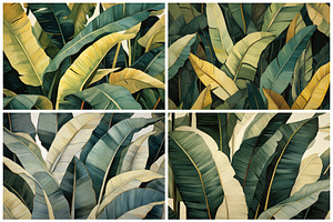 24 Banana Leaf Illustrations