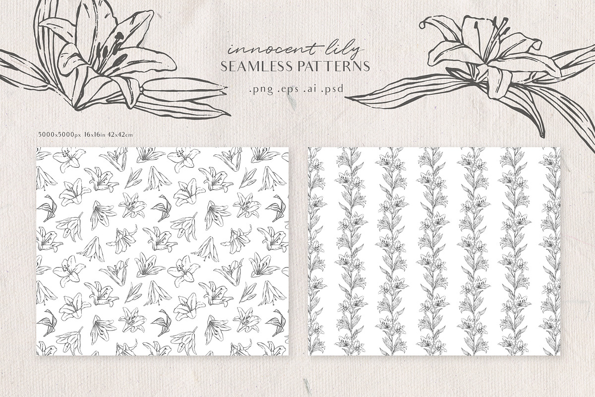 Innocent Lily - Floral Line Art, an Illustration by Julia M. Watercolor (Photo 10 of 11)
