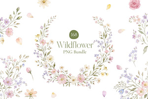 Wildflower Watercolor PNG Bundle, a Decorative Illustration by Arslan