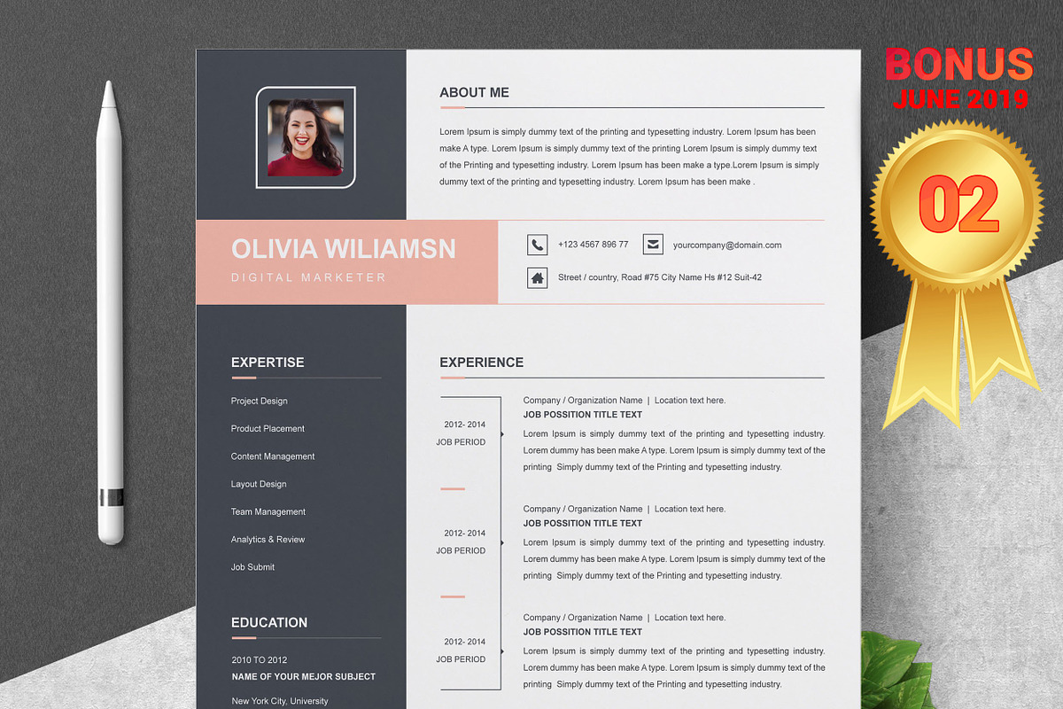Resume/CV Bundle | 200+ for $29, a Resume Template by ResumeInventor (Photo 58 of 207)