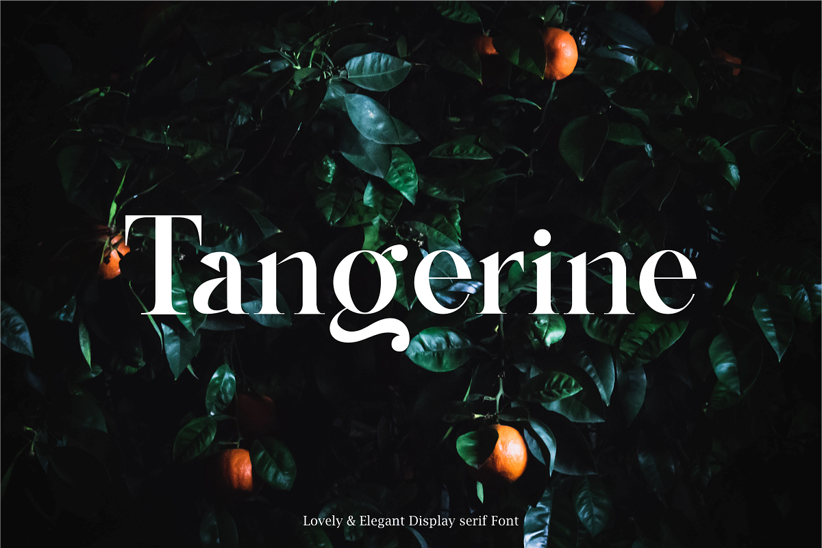 Argus - Lovely & Elegant Serif Font, a Serif Font by Vroz Studio (Photo 2 of 8)