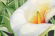 Calla Lily Seamless Pattern, a Pattern Graphic by PicByKate (Thumbnail 9 of 13)