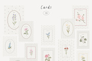 Wildflowers. Hand drawn pencil flora, a Decorative Illustration by Kreker Kate (Thumbnail 8 of 12)