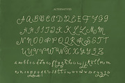 Beautifully Airy Lines Font, a Script Font by AnnArt (Thumbnail 11 of 13)