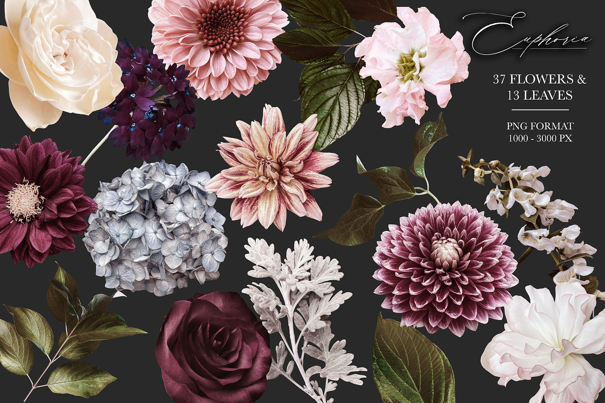Euphoria Floral Clip Art & Patterns, an Object Graphic by Eclectic Anthology (Photo 16 of 17)