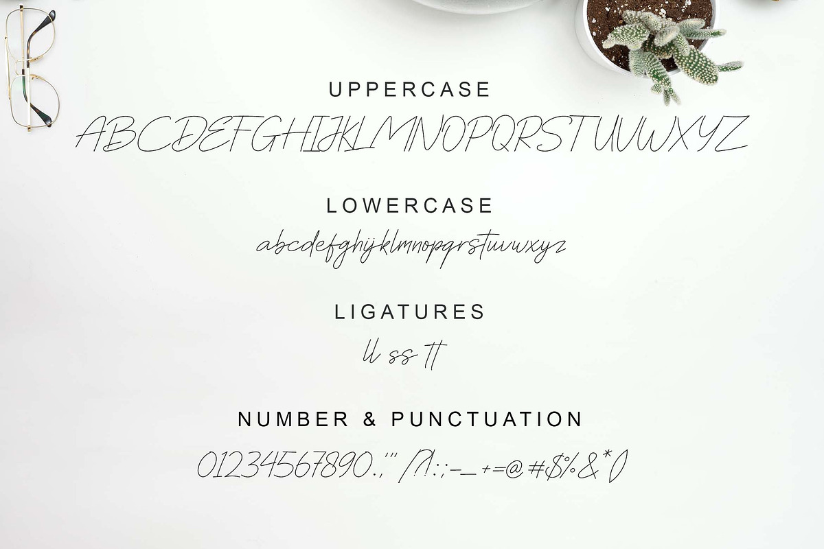 Pacifista, a Script Font by Zelda Graphic (Photo 2 of 6)