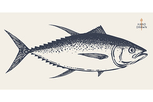 Tuna Fish, seafood, sketch, an Animal Illustration by Foxys Graphic