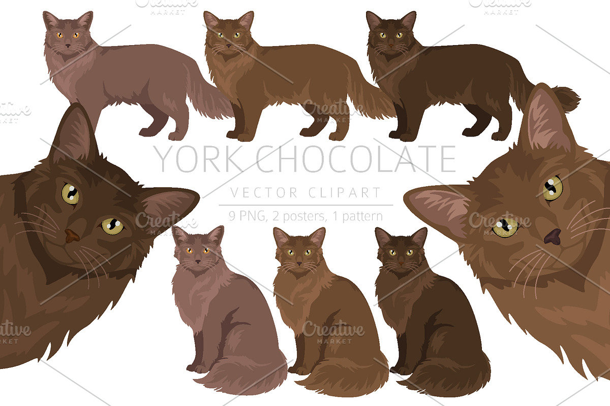 York Chocolate cat clip art, an Animal Illustration by pet design shop (Photo 1 of 4)