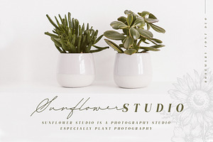 TN Rosemary Font Duo & Graphic