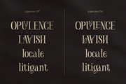 Kagea - Elegant Luxury Serif, a Serif Font by Pandeka Studio (Thumbnail 7 of 9)