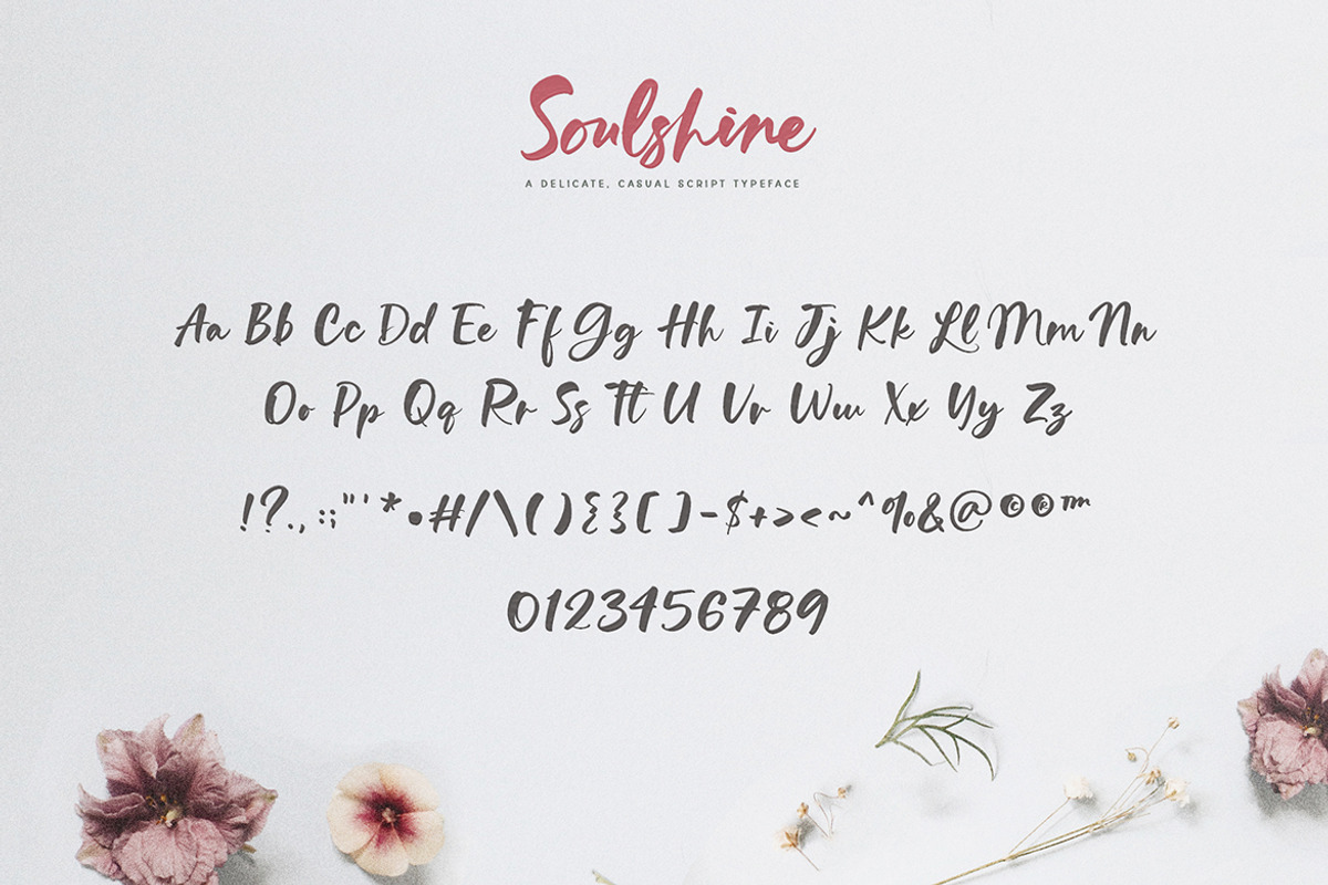 Soulshine Brush Script, a Font by Callie Rian & Co. (Photo 11 of 15)