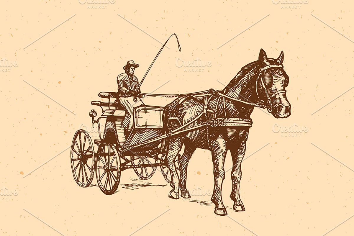 Vector illustration of open carriage, an Animal Illustration by CatMadePattern (Photo 2 of 3)