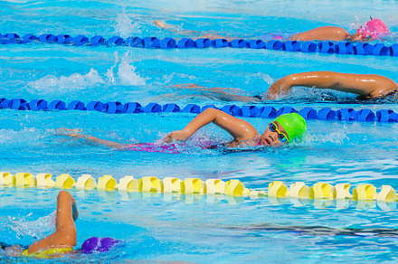 Swimmer child swims freestyle swimming style in a race swimming