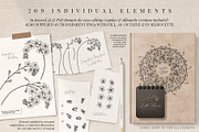 The Digital Florist Vintage Garden, an Illustration by Sophia J Caldwell (Thumbnail 4 of 20)