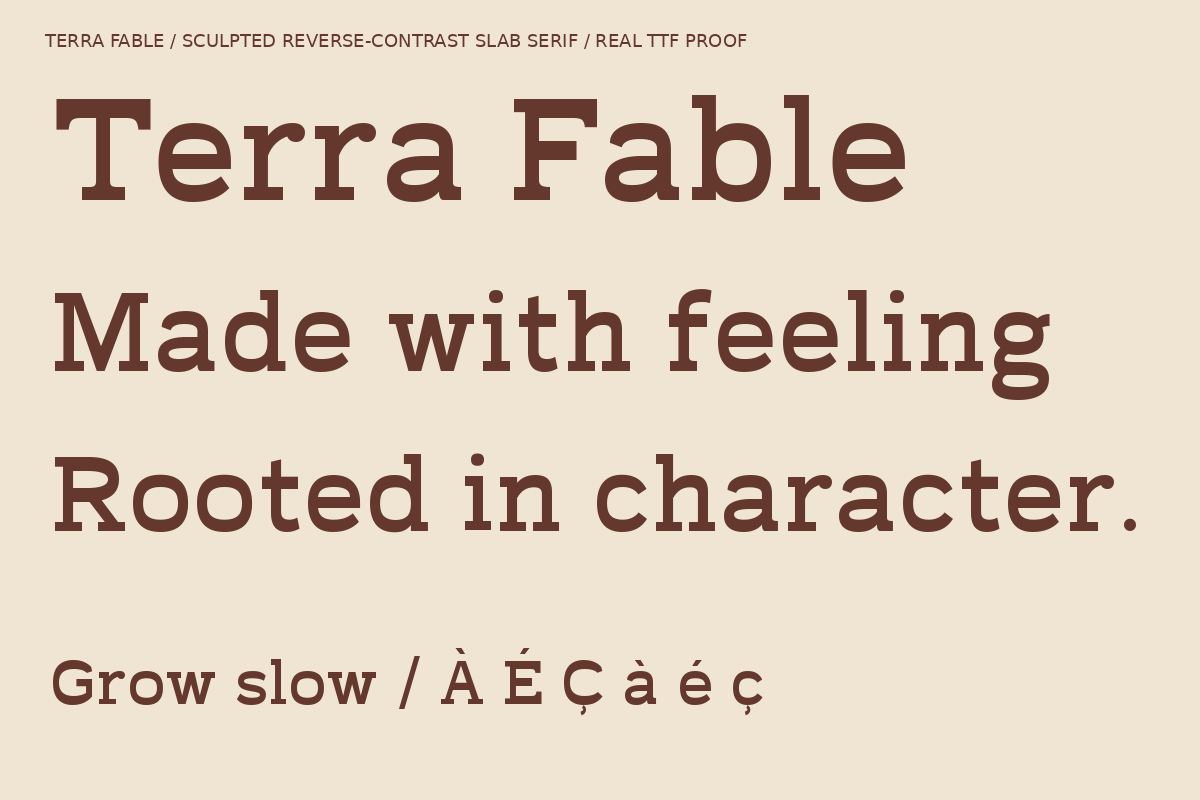 Terra Fable Sculpted Slab Serif, a Slab Serif Font by Colorsfav (Photo 2 of 11)