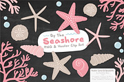 Seashells Clipart in Soft Pink, an Illustration by Amanda Ilkov (Thumbnail 3 of 5)