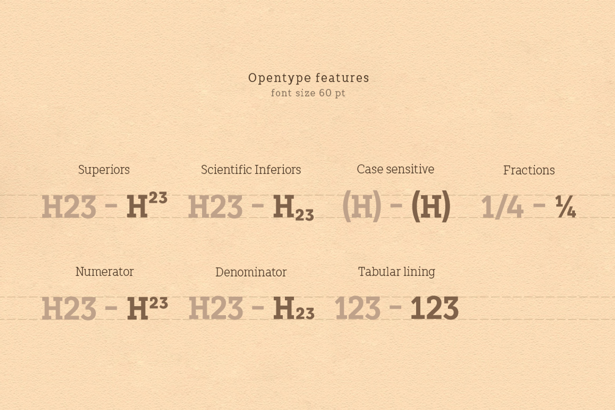 TT Slabs Condensed, a Serif Font by TypeType (Photo 2 of 5)