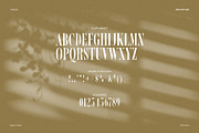 Vergen Vintage Serif Font, a Serif Font by Perfectype (Thumbnail 8 of 8)