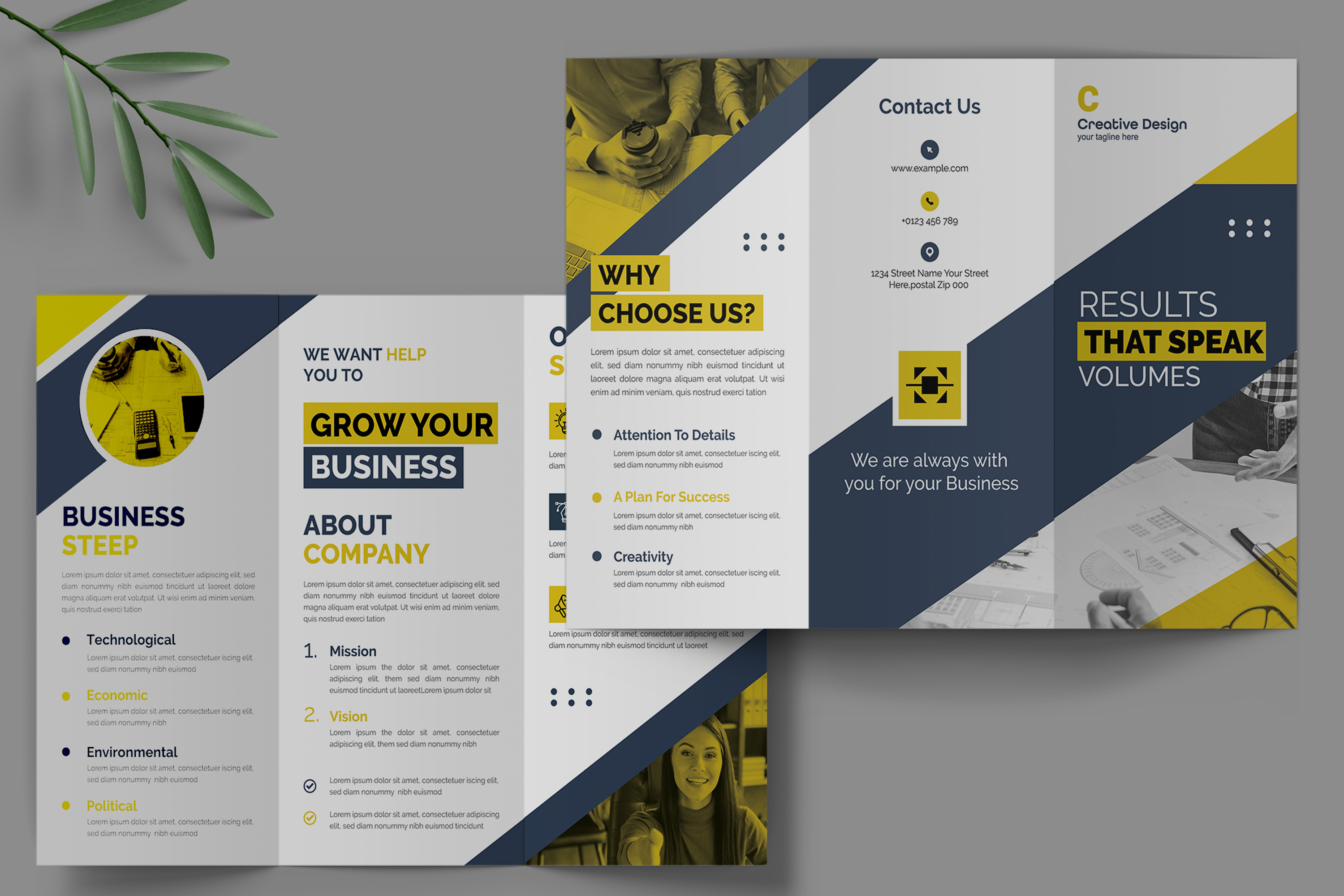 Business Trifold Brochure Design