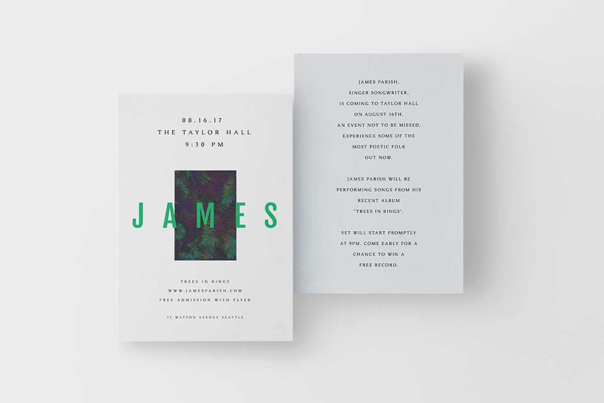 James Flyer, a Flyer Template by Viaduc (Photo 2 of 4)