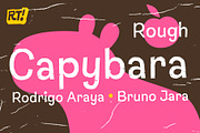 Capybara Rough + Cyrillic, a Sans Serif Font by Rodrigo Typo (Thumbnail 1 of 4)