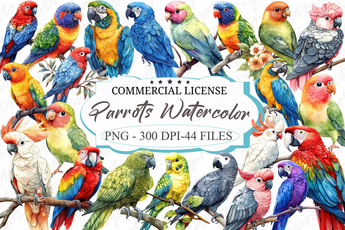 Parrots Watercolor Clipart, an Illustration by designcity5 (Photo 1 of 5)