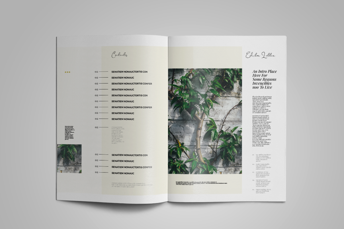 Naturia | Magazine Template, a Magazine Template by spidergraph (Photo 2 of 11)
