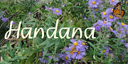 Handana, a Handwritten Font by Ingrimayne Type (Thumbnail 1 of 9)