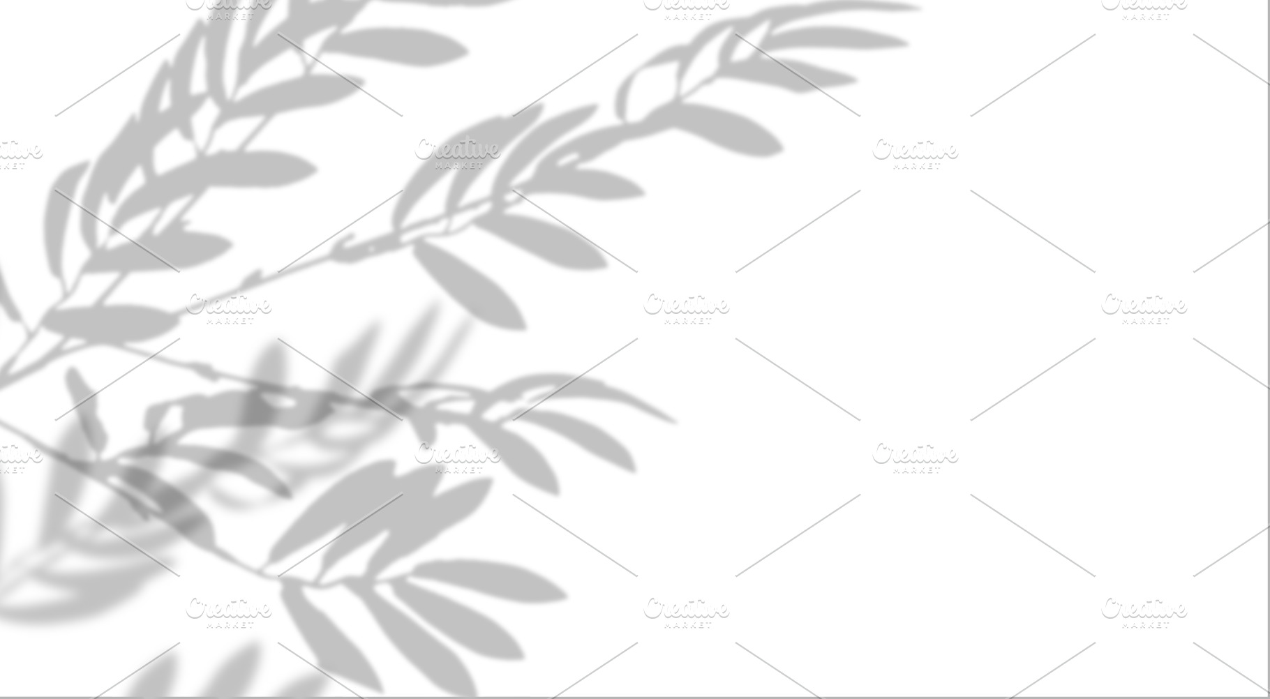 Background with soft, gray shadow of olive branch on isolated ba, a Background Photo by ndanko