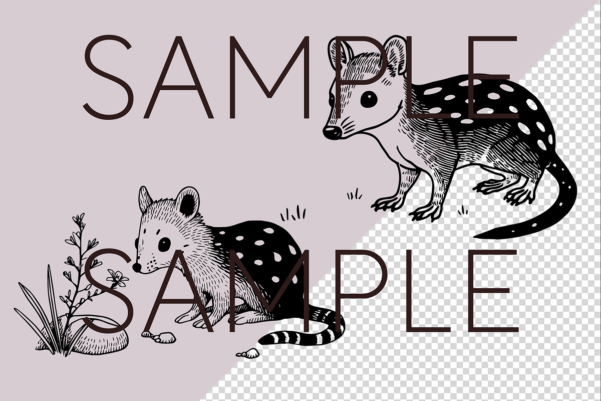Australian Animals SVG Clipart, an Animal Illustration by Pawcasso's Portraits (Photo 3 of 8)