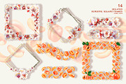 Apricot Fruits & Flowers, watercolor, a Food Illustration by EL_SUHOVA (Thumbnail 11 of 17)