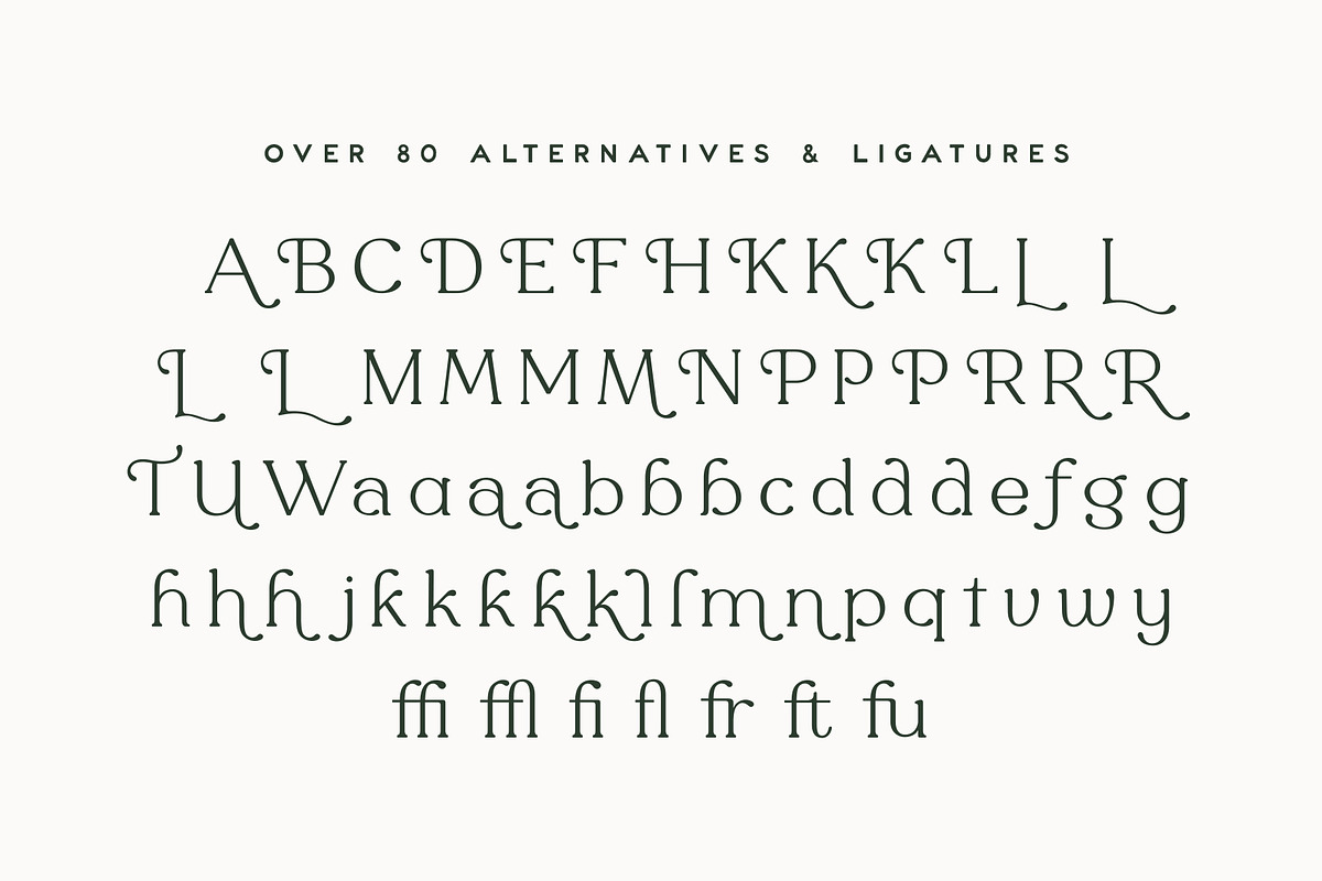 Mirada Serif, a Serif Font by Rachel Kick (Photo 11 of 12)