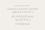 Rushtic Caramel, a Font by DzikrulAulia (Thumbnail 5 of 9)