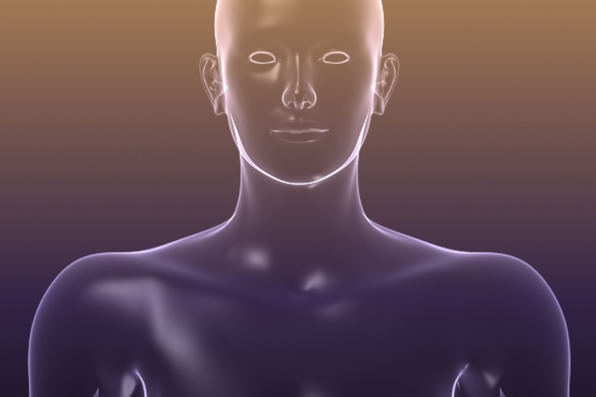 Male And Female Anatomy X-ray Bodies, a Characters & Person 3D Model by VisualCG (Photo 12 of 15)