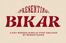BIKAR – Modern Vintage Display Font