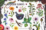 Watercolor Alchemy Medicinal Herbs, an Illustration by Fluffy Unicorn (Thumbnail 2 of 10)