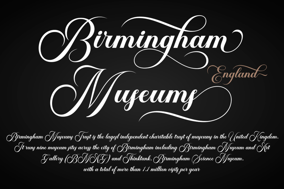 Brailganta Script, a Script Font by Strong.co (Photo 8 of 12)