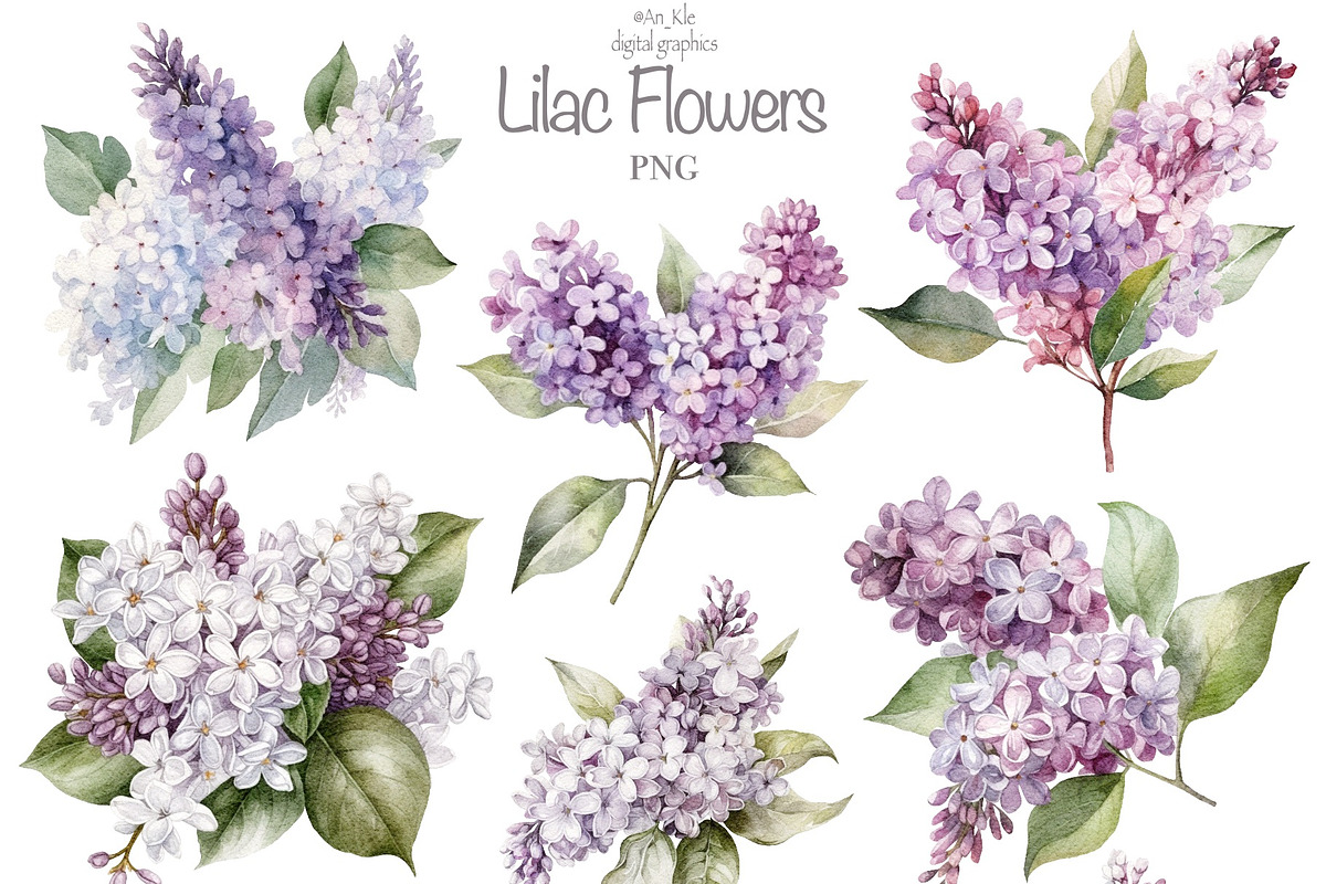 Lilac Flowers watercolour, an Illustration by TheCuteShop (Photo 2 of 7)