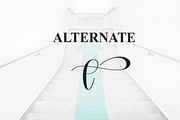 Milestones | Script Font, a Handwritten Font by Scratchones (Thumbnail 8 of 9)