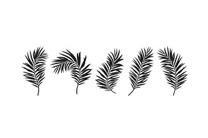Set of vector silhouettes tropical, an Illustration by Liudmyla Matviiets