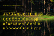 Airiya Mack - Serif Typeface Font, a Serif Font by Rishsketch (Thumbnail 13 of 15)