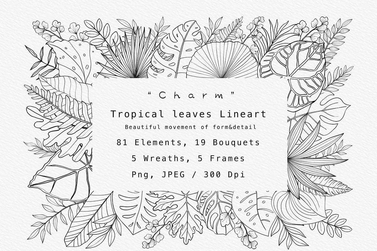 “Charm” Tropical Leaves Lineart, an Illustration by Sense Library (Photo 1 of 23)